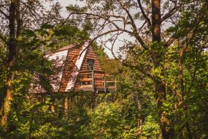 赫尔斯顿Skapya Treehouse with private hot tub .的树上小山顶上的房子