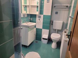 锡纳亚图伊旅馆的一间带卫生间和水槽的小浴室
