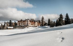 阿尔卑斯休斯山斯达格德拉依酒店的一座大房子,位于一座有树木的雪覆盖的山丘上
