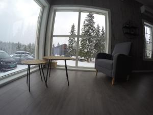 莫舍恩Blåfjell hundesenter fjellhotell的客厅设有2张桌子、1把椅子和窗户