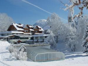 圣斯蒂凡安德Karnischer Hof的冬季的度假胜地,有雪覆盖的树木