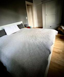 格雷文布罗赫Im alten Pastorat的卧室配有一张带白色棉被的大床
