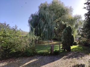 Charming Villa的花园内有一棵 ⁇ 的柳树和围栏