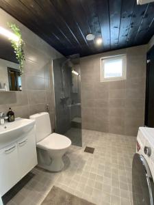 奥卢Sankivillat的浴室配有卫生间、盥洗盆和淋浴。
