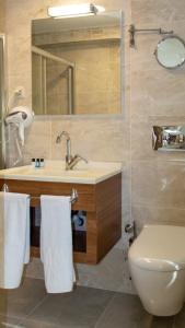伯萨LOTUSPARK HOTEL的一间带水槽、卫生间和镜子的浴室