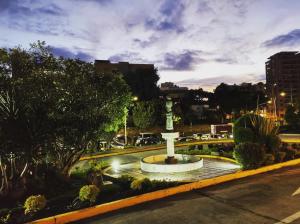 帕斯托Hotel Morasurco的夜中街道上的喷泉