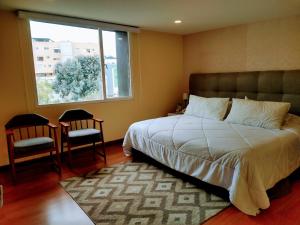 帕斯托Hotel Morasurco的一间卧室配有一张床、两把椅子和一个窗户