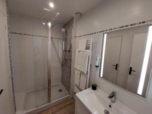 Les RosiersLogis Loire Hotel - Les Cocottes Restaurant的带淋浴和盥洗盆的白色浴室