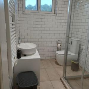 沙罗什保陶克Fakapu Vendégház的白色的浴室设有水槽和卫生间。