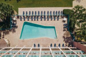 默特尔比奇南海滩沙塔海滨度假村的享有度假村游泳池的空中景致