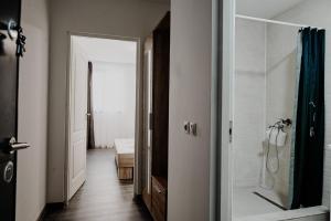 德罗贝塔-塞维林堡Casa Adan的带淋浴和步入式淋浴间的浴室