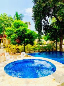 博卡奇卡Villa Marcia的一个带两把白色椅子和树木的大型蓝色游泳池