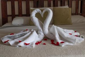 圣何塞Eco Stay Hostel的红色心床上的两条天鹅毛巾