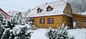 VažecHolidayhouse Chalupa Alžbetka的木屋,有雪盖屋顶