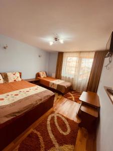 肯普隆格Pensiunea Valea Ursului的酒店客房设有两张床和窗户。