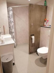 霍尔沃德De Bedstee的浴室配有卫生间、盥洗盆和淋浴。