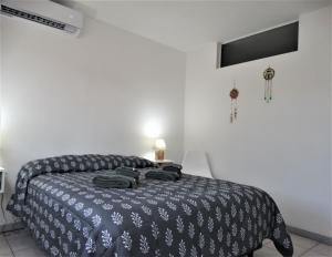 门多萨Alem Mendoza的一间卧室配有一张带黑白毯子的床