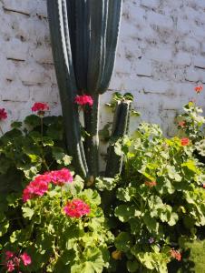 卢那欢纳Casa Langla Lunahuana的花园里的雕像,花朵粉红色