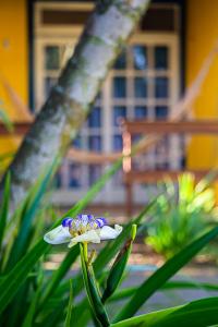 布希奥斯Villa Bella Ferradura的建筑前的白色和蓝色花