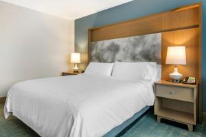 奥兰多Holiday Inn Orlando – Disney Springs™ Area, an IHG Hotel的酒店客房设有一张大床和两盏灯。