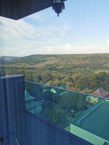 雅西Apartament incantator Iasi Copou的房屋的阳台享有风景。