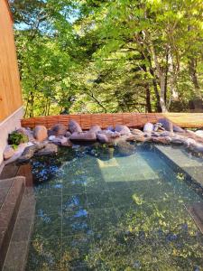 日光K's House Nikko - Kinugawa Onsen Hostel的后院里一大片带岩石的水