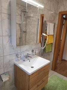 乌姆豪森Studio Stefan的一间带水槽、淋浴和镜子的浴室