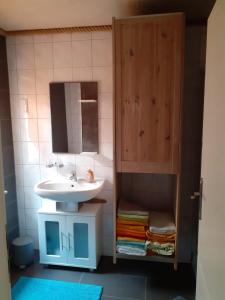 普劳西Ferienhaus Fiete的一间带水槽和橱柜的浴室