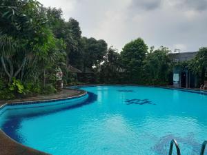 日惹The Green Winotosastro Hotel Yogyakarta的一个种有树木的大型蓝色游泳池