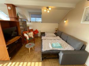 克拉尼Apartment Kranj - huge terrace, free P, WI - FI, AC的带沙发和电视的小客厅