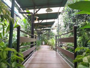 日惹The Green Winotosastro Hotel Yogyakarta的木道,温室里种有植物