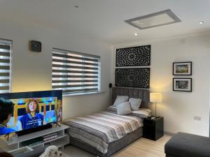 坎姆伯恩Fully Detached Studio Annexe with Double Bed for 2 & Sofa Bed for 2的一间卧室配有一张床和一台平面电视