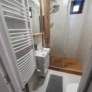 Novi BanovciChe Private Rooms Banovci的带淋浴、卫生间和盥洗盆的浴室