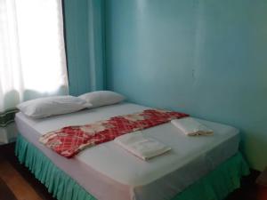 曼巴豪Knights-Apple Inn的蓝色墙壁间的一张床位
