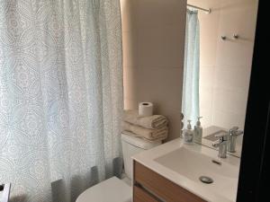 圣地亚哥Espectacular depto Moderno 22的一间带卫生间和淋浴帘的浴室