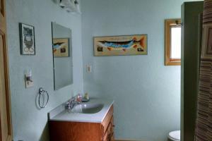 MayvilleLittle Whit on Chautauqua Lake的一间带水槽和镜子的浴室
