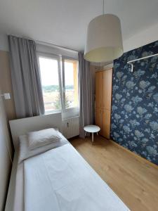 格拉茨Apartment Graz Murpromenade的一间小卧室,配有床和窗户