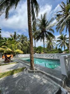 龙目岛库塔Kuta Circle Homestay的棕榈树环绕的度假村游泳池
