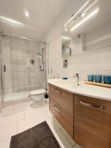 格拉茨Apartment Graz Murpromenade的一间带水槽、卫生间和淋浴的浴室