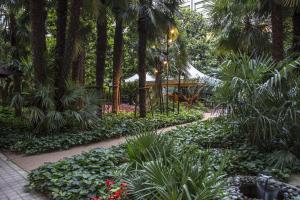 都灵灵格托都灵国会NH酒店的种有植物和棕榈树的花园以及步道