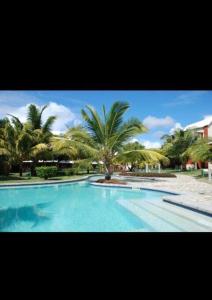 马勒勒角Lovely 2 Bedroom Duplex next to the Beach的一座棕榈树环绕的大型游泳池