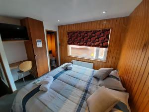 蓬塔阿雷纳斯ALMER HOSTAL的一间卧室设有一张大床和一个窗户。