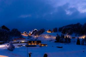 普拉托讷沃斯Borgo Stalle的夜间雪地中的度假村