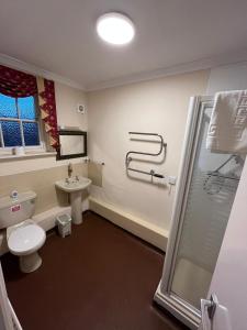 海斯Castle Inn的浴室配有卫生间、盥洗盆和淋浴。