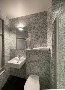 梅赫伦3 Paardekens - City Centre Hotel的一间带卫生间和水槽的浴室