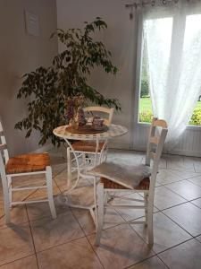 Trois-PalisMagnolia的桌子和椅子,在房间里植有植物
