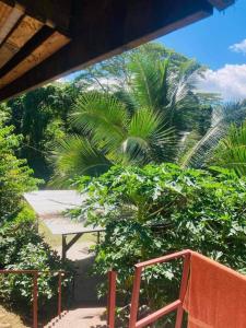 乌图罗阿Ohana Location Ravissant appart spacieux parking gratuit à uturoa的从阳台可欣赏到棕榈树的景色