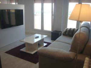 阿维拉Albatros (wifi y garaje)的带沙发、桌子和电视的客厅