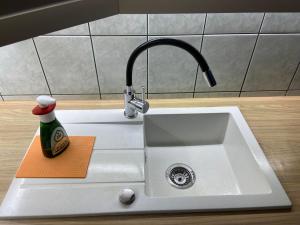 塞克希费黑瓦尔Bory Apartman, zárt udvari parkolás的厨房水槽和一瓶清洁剂
