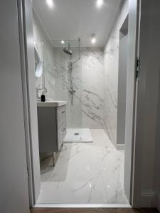 莱什诺Igart Studio的白色的浴室设有水槽和淋浴。